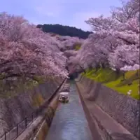 کانال زیبای دریاچه بیوا شیگا در ژاپن