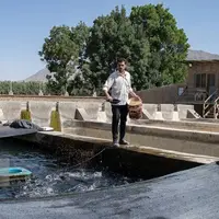 طرح‌های نوین آبزی‌پروری در سراوان اجرا می‌شود