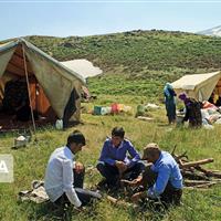 عشایر مهمانان طبیعت البرز؛ تولید ۱۰ هزارتن گوشت و مواد لبنی