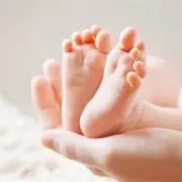 شایعه عجیب درباره روغن حیوانی