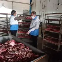 یک‌هزار و ۴۷۰ کیلو آلایشات مرغی در یاسوج ضبط‌ومعدوم شد