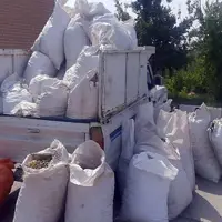 کارگر ضبط پسته سارق از کار درآمد!
