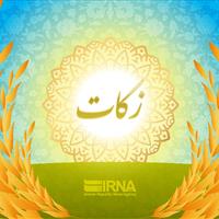 معاون کمیته امداد: فقط ۲ درصد از ظرفیت سالانه زکات محقق می‌شود