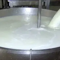 قیمت شیرخام تعیین شد