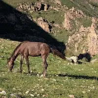  طبیعت بهاری دره جِرمی ارومیه