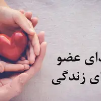 تقویم تاریخ/ روز ملی اهدای عضو، اهدای زندگی