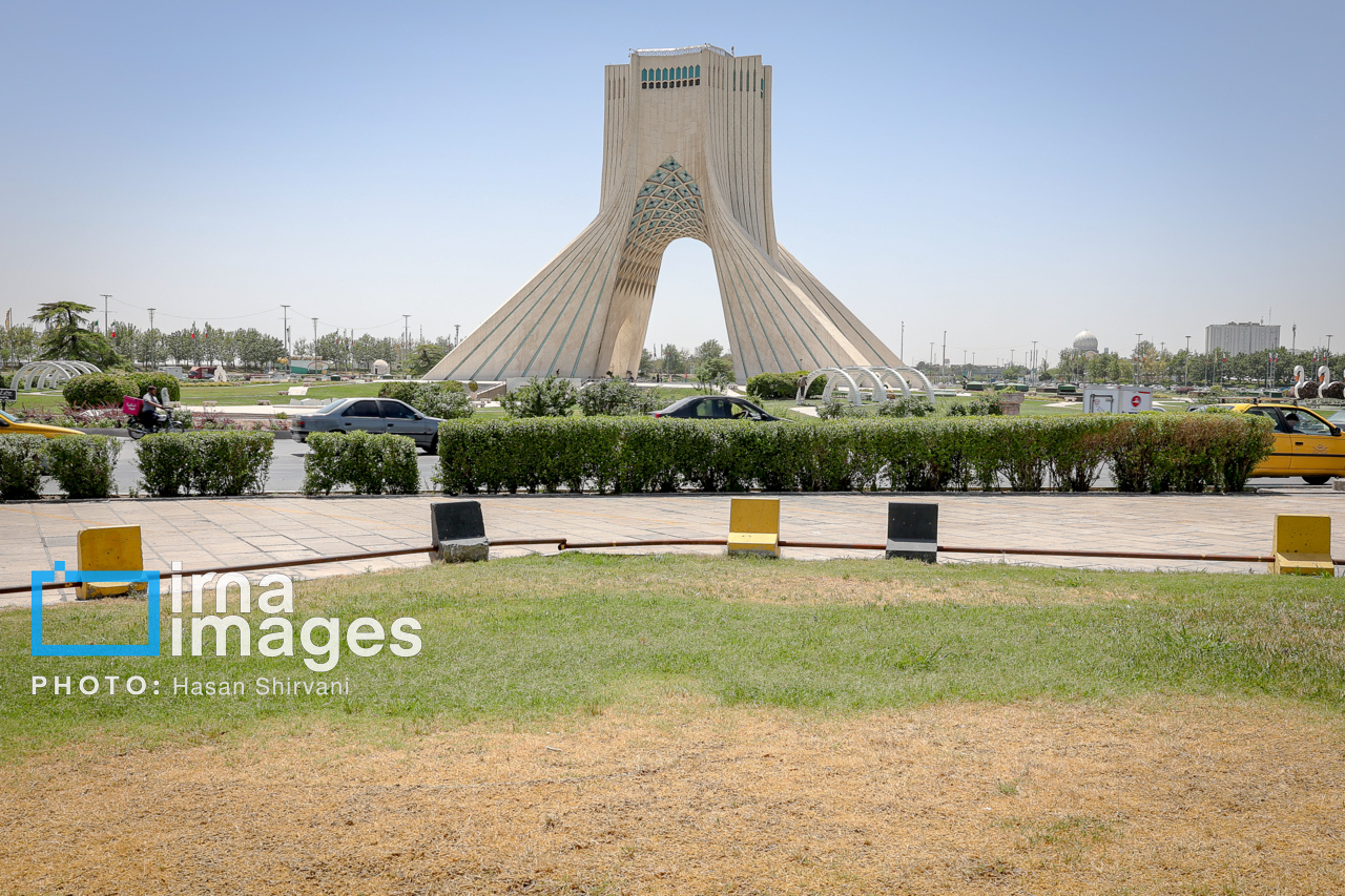 عکس/ قطع درختان بی جان میدان آزادی