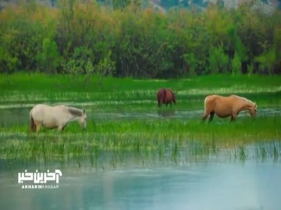 طبیعت دیدنی دشت شیمبار در خوزستان