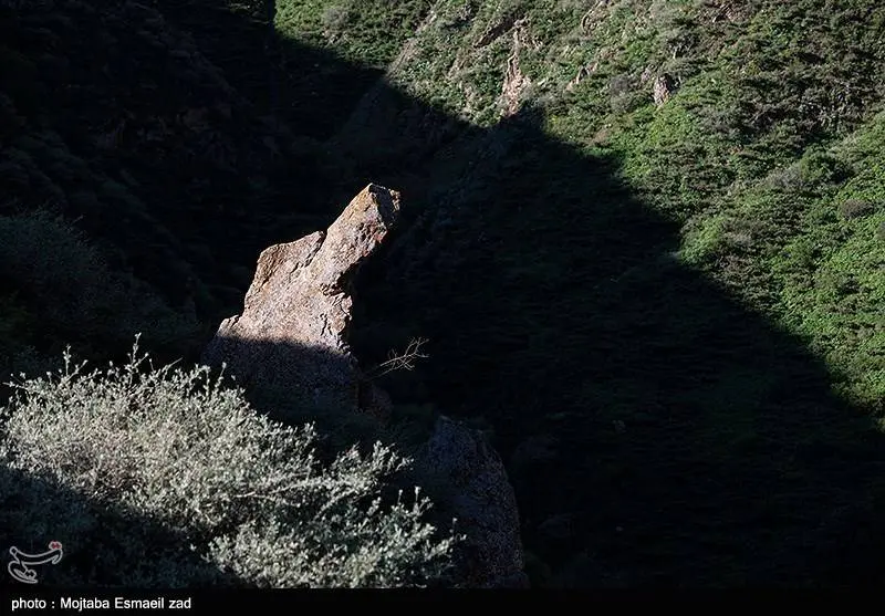 طبیعت بهاری دره جِرمی ارومیه