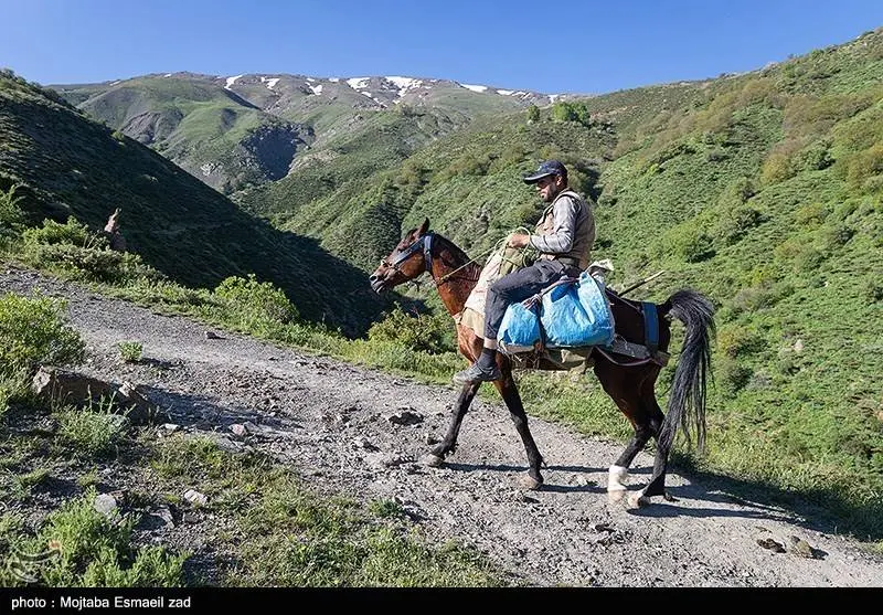  طبیعت بهاری دره جِرمی ارومیه