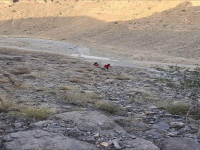 نجات کوهنورد حادثه‌دیده دره گاهان تفت