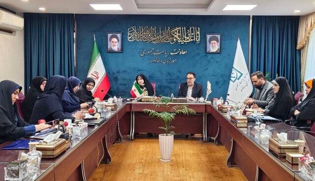 معاون رئیسجمهور: بیش از ۷۰ درصد مشاغل خانگی ثبتشده متعلق به زنان است