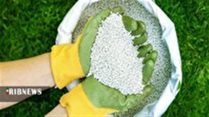 افزایش ۱۰۰ درصدی تامین و تدارک کود یارانهای کشاورزان قم
