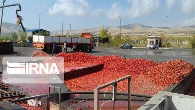 ۴۷ درصد صنایع کشاورزی خراسانشمالی نیمهفعال است