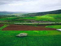 میرآباد نزدیک روستای شیومردان در کردستان