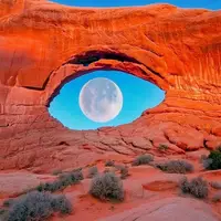 عکس های شاهکاری که در زمان مناسبی گرفته شدند