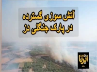 آتش‌سوزی گسترده در پارک ملی دز