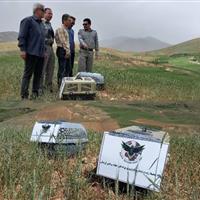 رهاسازی دو بهله عقاب و یک قطعه لک لک در بروجرد