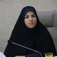 فعالیت ۱۳ انجمن فرهنگی و هنری در لرستان