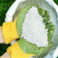 افزایش ۱۰۰ درصدی تامین و تدارک کود یارانه‌ای کشاورزان قم