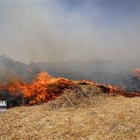 آتش سوزی در کشتزارهای «چوار» ایلام