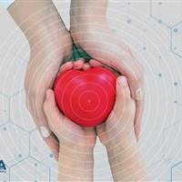 یک تصمیم، هزاران زندگی؛ اهدای عضو در مسیر فرهنگ‌سازی