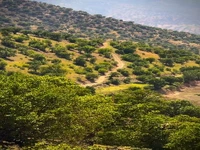 طبیعت زیبای دنا