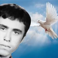 شهیدنامه ایرنا استان سمنان؛ جاویدنام علیرضا کلامی