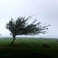 وزش باد، پدیده غالب جوی همدان