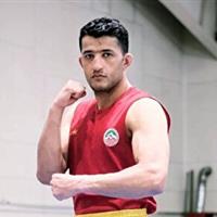 نایب قهرمانی ووشوکار کردستانی در رقابت‌های کشوری و انتخابی تیم ملی