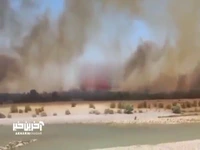 آتش‌سوزی گسترده در پارک ملی دز