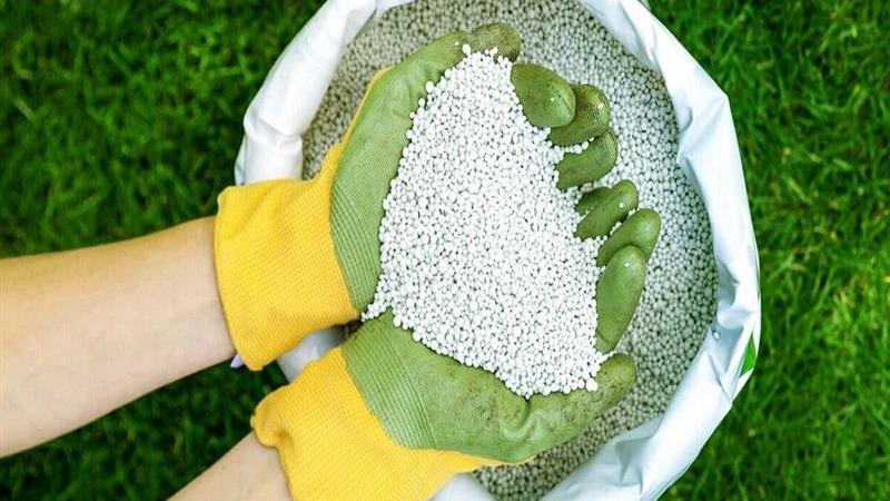 تامین و تدارک کود یارانهای در قم ۱۰۰ درصد افزایش یافت