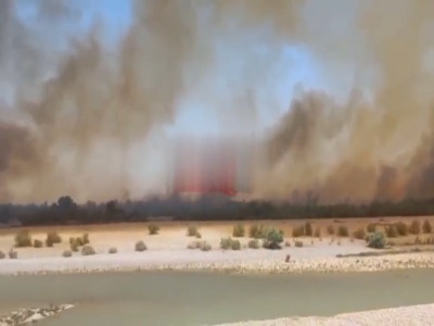 آتش‌سوزی گسترده در پارک ملی دز