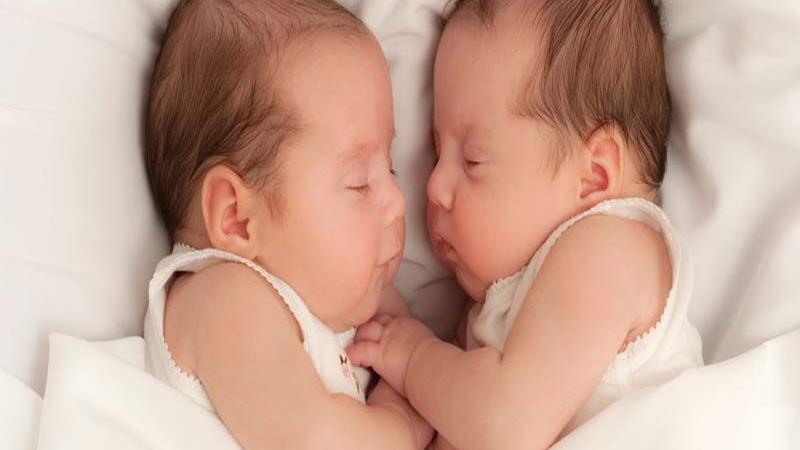 بهزیستی زنجان به خانوادههای دارای چندقلو مستمری پرداخت میکند