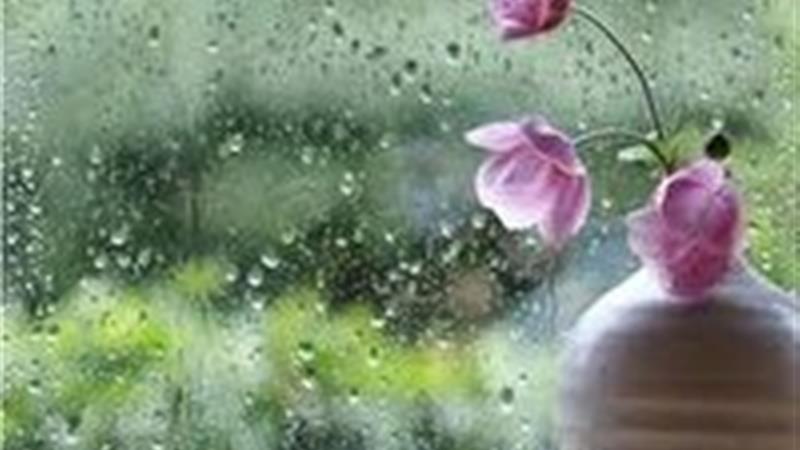 ابر‌های بارانی در راه کردستان