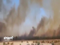 آتش‌سوزی گسترده در پارک ملی دز