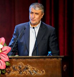 رئیس سازمان انرژی اتمی ایران: کسی نمی تواند به ما بگوید کدام مسیر را باید برویم
