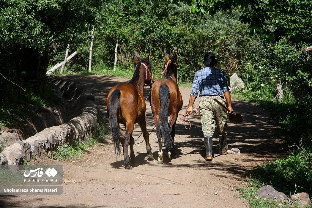 طبیعتِ زیبای اِشکوَرات