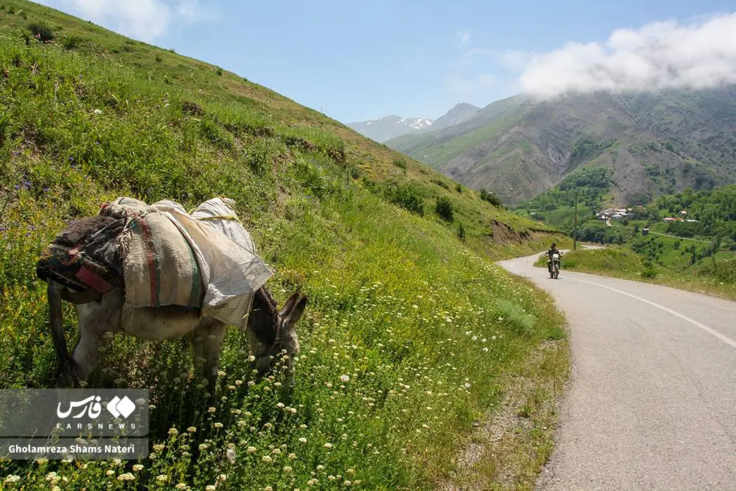 طبیعتِ زیبای اِشکوَرات
