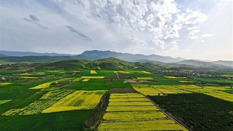 تثبیت ۲۸۰۰ هکتار از اراضی غیرملی در استان ایلام