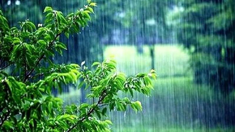 بارش باران استان زنجان را فرا میگیرد