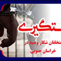 دستگیری ۱۹ نفر متخلف شکار و صید در خراسان جنوبی
