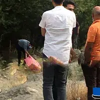 جسد قطعه‌قطعه شده زن 30 ساله داخل چمدان کنار جاده کشف شد