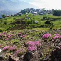 طبیعتِ زیبای اِشکوَرات