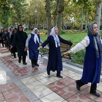 ۳۳ ایستگاه ورزش همگانی در پارک‌های زنجان فعال است