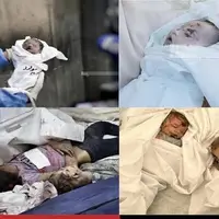 آمار شهدای غزه به ۵۳ هزار و ۹۰۱ نفر رسید