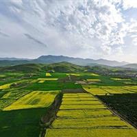تثبیت ۲۸۰۰ هکتار از اراضی غیرملی در استان ایلام