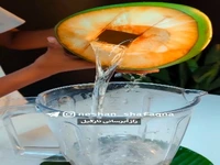 راز آب رسانی در نارگیل