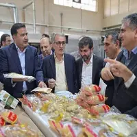 آرد بلوط در کهگیلویه و بویراحمد راهی برای بی‌نیازی از واردات گندم