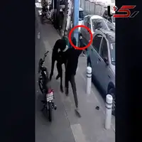 گفتگو با مرد فداکار در صحنه موبایل قاپی از یک زن؛ چاقو را به شکمم فرو کردند